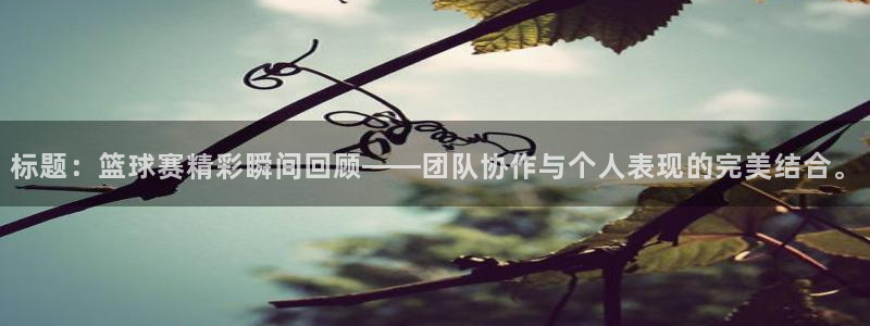 标题：篮球赛精彩瞬间回顾——团队协作与个人表现的完美结合。
