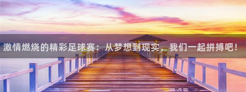 易游交易平台：激情燃烧的精彩足球赛：从梦想到现实，我们一起拼