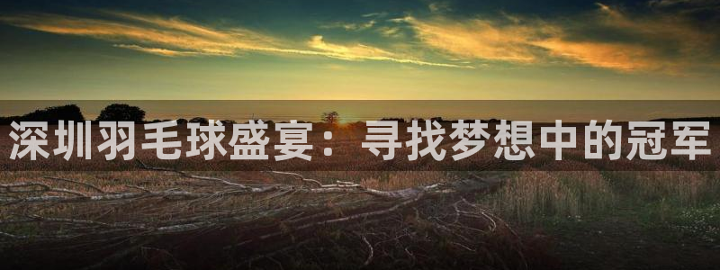 yy易游体育平台能提现吗安全吗：深圳羽毛球盛宴：寻找梦想中的