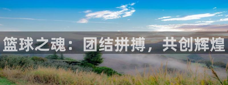 yy易游体育电竞怎么样：篮球之魂：团结拼搏，共创辉煌