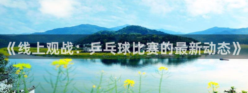 易游网游戏交易平台怎么样安全吗：《线上观战：乒乓球比赛的最新