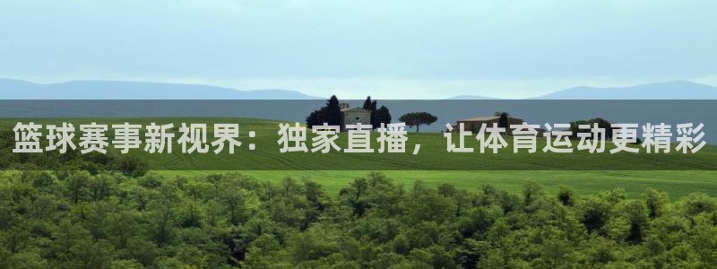 易游安卓app：篮球赛事新视界：独家直播，让体育运动更精彩