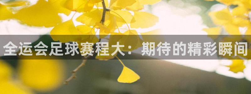 米乐yy易游体育最新版本更新内容：全运会足球赛程大：期待的精