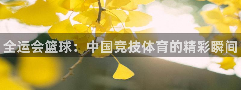 易游商城app：全运会篮球：中国竞技体育的精彩瞬间